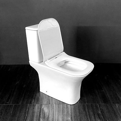 Напольный унитаз компакт Cerutti Spa Vettore 7192 (66,5*34,5*77)