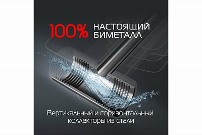 Радиатор Royal Thermo BiLiner 500/Silver Satin - 10 секций (серебристый)